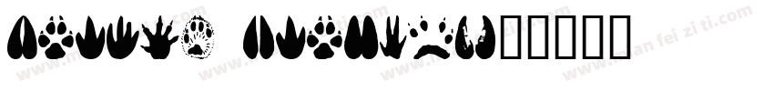 Winter Animal字体转换